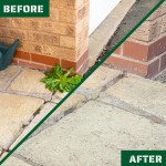 Rootblast | Pembunuh Gulma Total Konsentrat Kekuatan Super – Glifosat Kekuatan Super untuk Kontrol Gulma Efektif – Membunuh Gulma hingga Akar